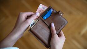 Что можно хранить в кошельке в Эстель Адони