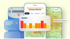 Что означают проценты в Яндекс Погоде в Эстель Адони
