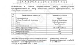Что такое номер свидетельства ИП в Эстель Адони