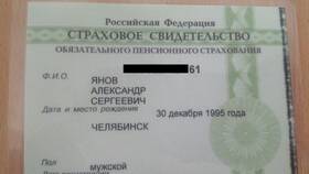 Что за документ – страховое свидетельство? в Эстель Адони