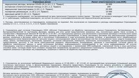 Что значит страховка жизни в Эстель Адони