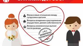 Договор Б/Н: что это в Эстель Адони
