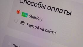Как изменить время доставки в Dodo Pizza в Эстель Адони