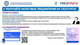 Как можно использовать портал Госуслуги в Эстель Адони