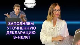 Как отменить декларацию 3-НДФЛ в Эстель Адони