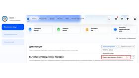Как подать декларацию 3-НДФЛ в Эстель Адони