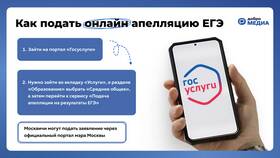 Как подать заявление на ЕГЭ через Госуслуги в Эстель Адони