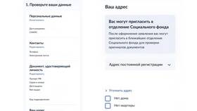 Как подать заявление на пенсию через Госуслуги в Эстель Адони