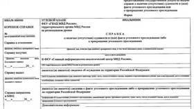 Как подать заявление на справку о несудимости через Госуслуги в Эстель Адони