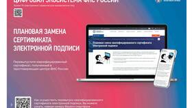 Как получить выписку на сайте налоговой службы в Эстель Адони
