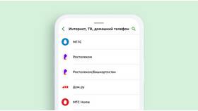 Как пополнить счет Ростелекома через Сбербанк в Эстель Адони