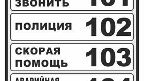 Как позвонить в полицию: номера экстренной связи в Эстель Адони