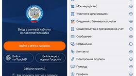 Как создать личный кабинет налогоплательщика на сайте ФНС в Эстель Адони