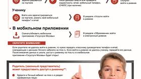 Как войти в электронный дневник через Госуслуги в Эстель Адони