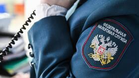 Как выглядит справка 2-НДФЛ с портала Госуслуг в Эстель Адони