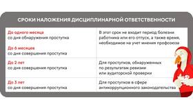 Основания для увольнения как дисциплинарного взыскания в Эстель Адони