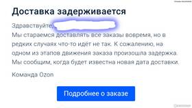Почему товар задерживается на Ozon в Эстель Адони