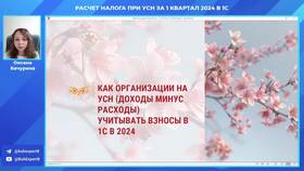 Почему взносы не попадают в расходы в Эстель Адони