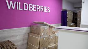 Почему Wildberries ввел платную доставку в Эстель Адони