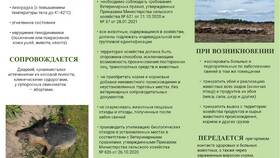 Признаки подозрительных документов в Эстель Адони