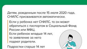 Зачем мошенникам номер СНИЛС и для чего он нужен в Эстель Адони