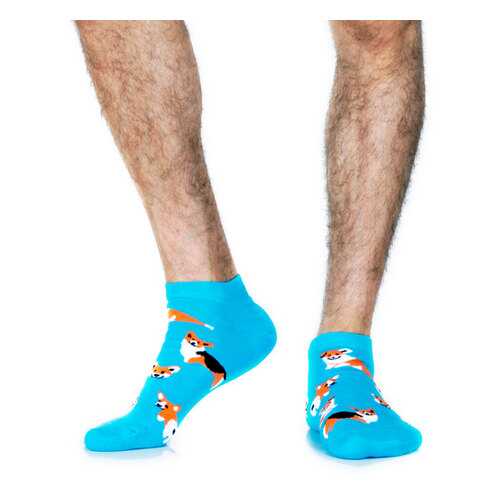 Носки St.Friday Socks Корги голубые 42-46 в Эстель Адони